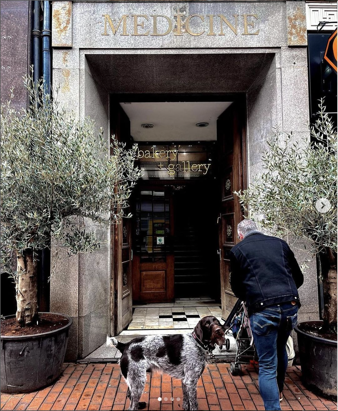 Screenshot 2023-09-27 at 16.39.50 Dog outside Medicine New Street