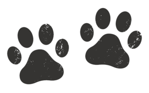 Two paw prints